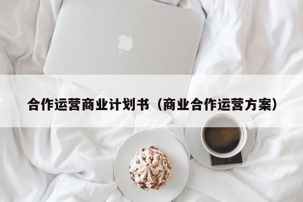 合作运营商业计划书（商业合作运营方案）