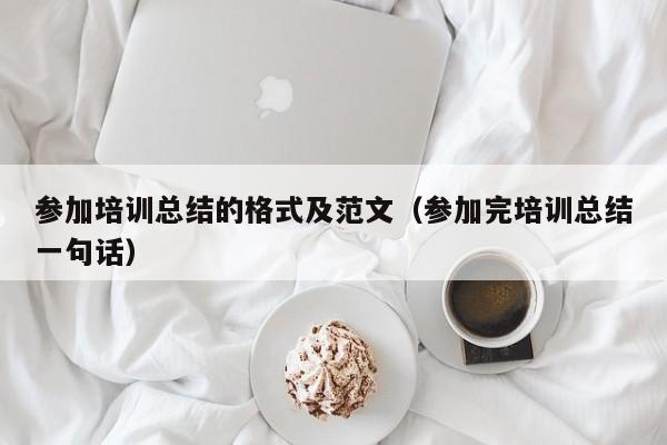 参加培训总结的格式及范文（参加完培训总结一句话）