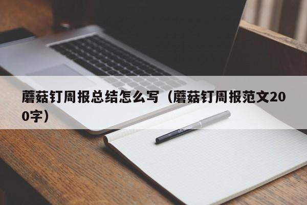 蘑菇钉周报总结怎么写（蘑菇钉周报范文200字）