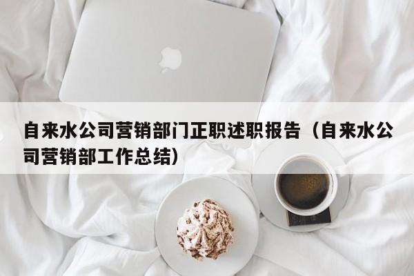 自来水公司营销部门正职述职报告（自来水公司营销部工作总结）