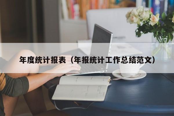 年度统计报表（年报统计工作总结范文）